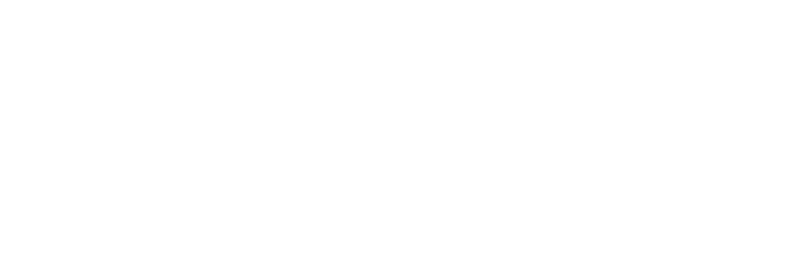 Team'Arti Festival